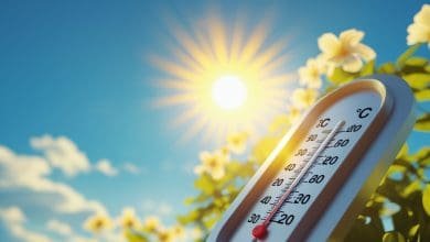 الأرصاد الجوية غدا